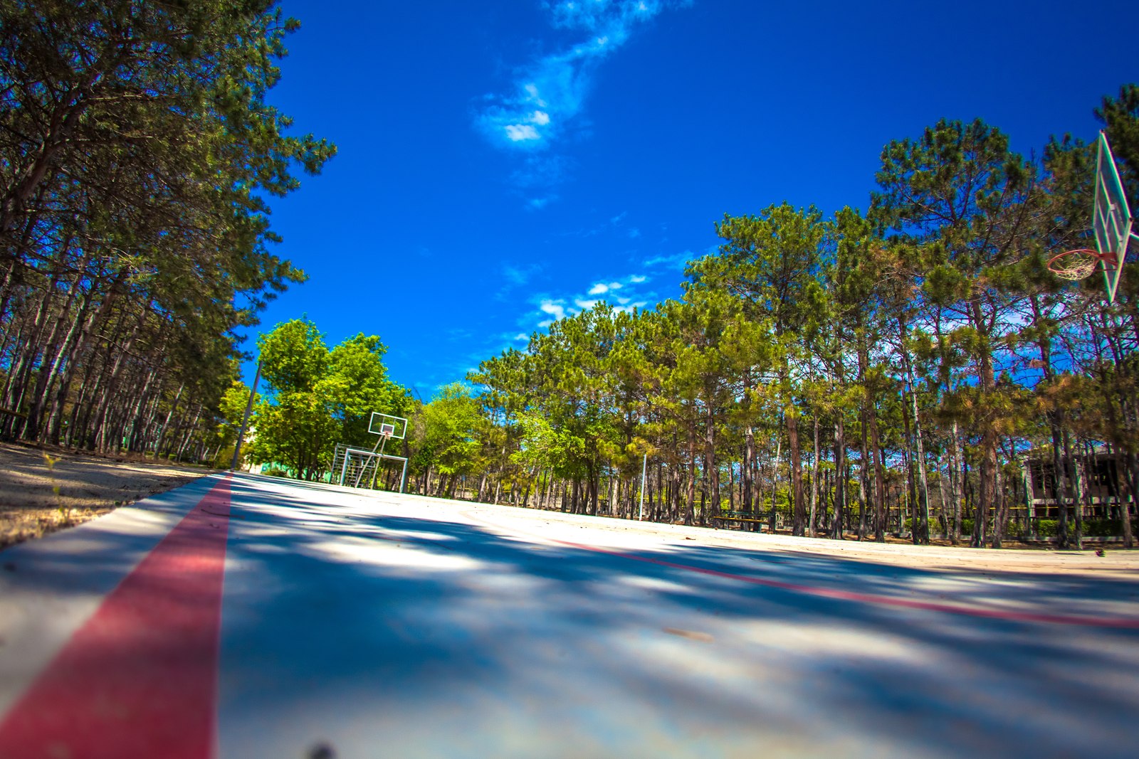 Детский лагерь «Мандарин»